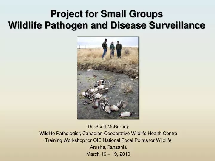 project for small groups wildlife pathogen and disease surveillance