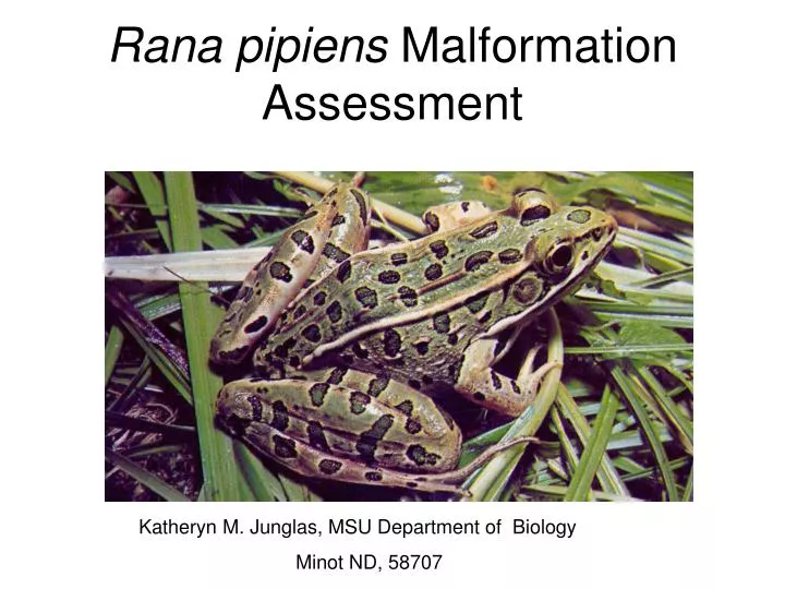 rana pipiens malformation assessment