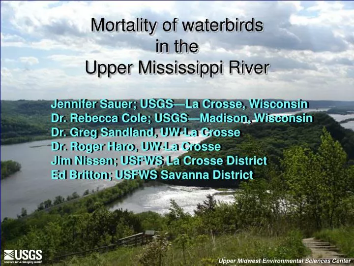 mortality of waterbirds in the upper mississippi river