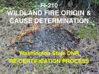 FI-210 WILDLAND FIRE ORIGIN &amp; CAUSE DETERMINATION
