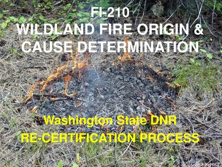 fi 210 wildland fire origin cause determination