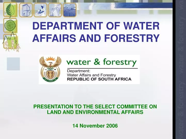 department of water affairs and forestry