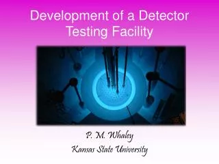 Development of a Detector Testing Facility