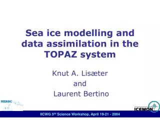 Sea ice modelling and data assimilation in the TOPAZ system