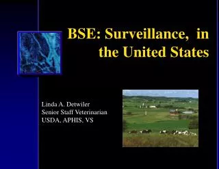 BSE: Surveillance, in the United States