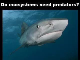 Do ecosystems need predators?