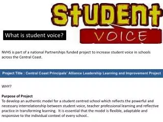 What is student voice?
