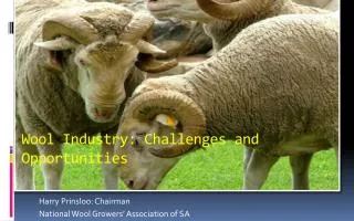 Wool Industry: Challenges and Opportunities