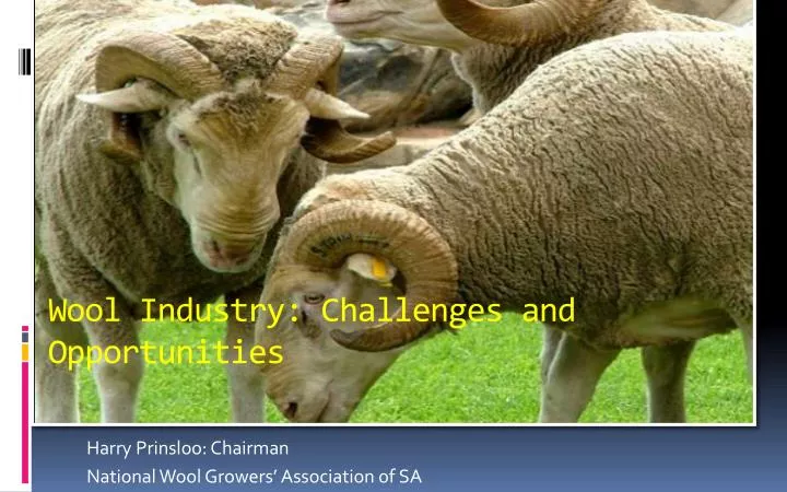wool industry challenges and opportunities
