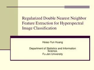 Regularized Double Nearest Neighbor Feature Extraction for Hyperspectral Image Classification