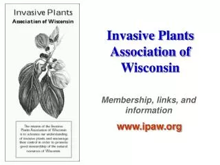 Invasive Plants Association of Wisconsin