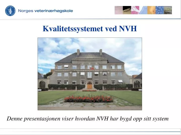 kvalitetssystemet ved nvh