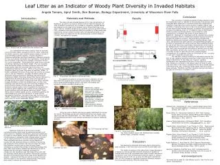 Leaf Litter as an Indicator of Woody Plant Diversity in Invaded Habitats