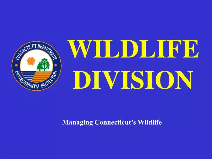 wildlife division