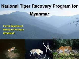 National Tiger Recovery Program for Myanmar
