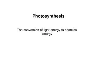 Photosynthesis