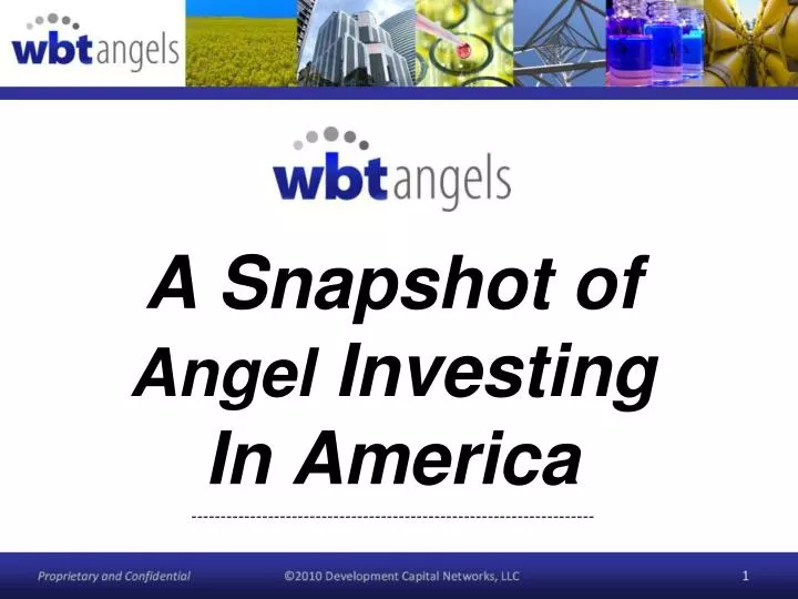 a snapshot of angel investing in america