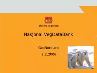 nasjonal vegdatabank