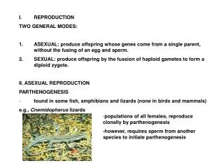 REPRODUCTION TWO GENERAL MODES:
