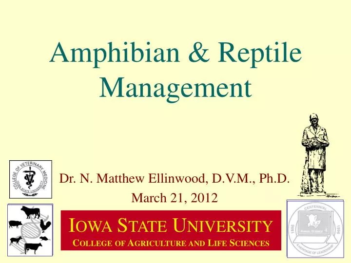 amphibian reptile management