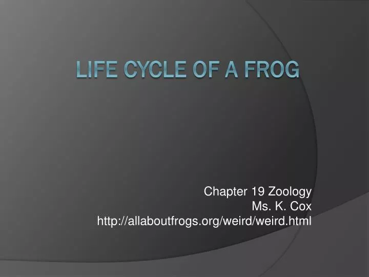 chapter 19 zoology ms k cox http allaboutfrogs org weird weird html