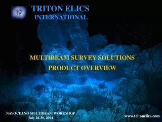 TRITON ELICS INTERNATIONAL