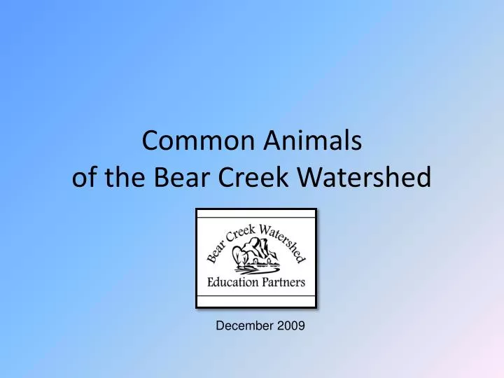 common animals of the bear creek watershed