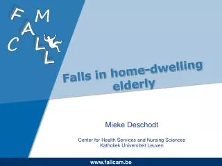 Falls in home-dwelling elderly