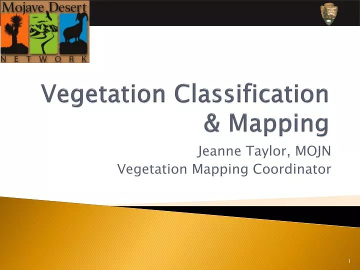 vegetation classification mapping