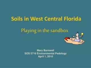 Soils in West Central Florida