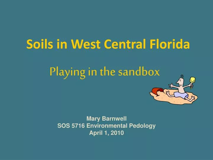 soils in west central florida