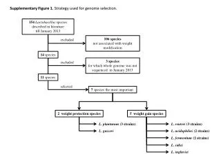 154 Lactobacillus species described in literature till January 2013