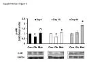 Supplementary Figure 3