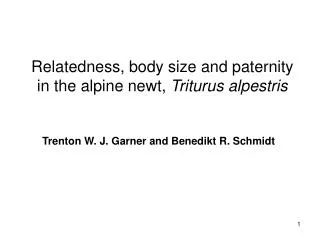 Relatedness, body size and paternity in the alpine newt, Triturus alpestris