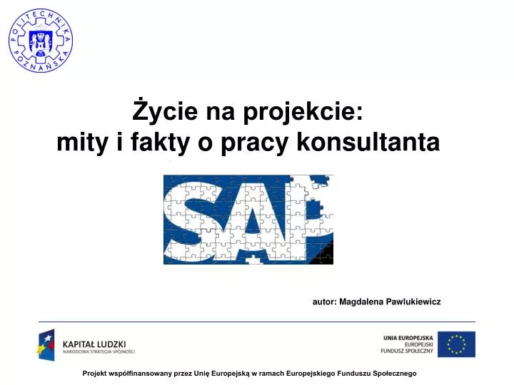 ycie na projekcie mity i fakty o pracy konsultanta autor magdalena pawlukiewicz