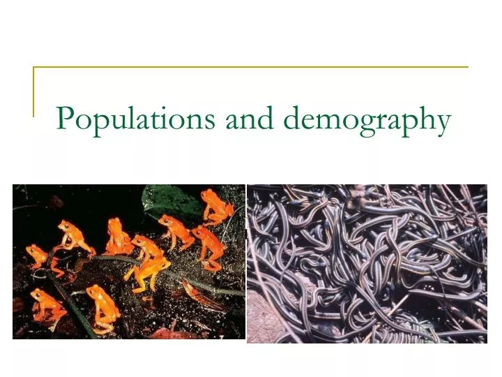 populations and demography