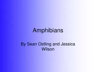 Amphibians