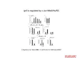 C Aguilera et al. Nature 000 , 1-5 (2010) doi:10.1038/nature09607