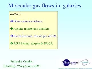 Molecular gas flows in galaxies