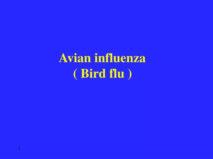 avian influenza bird flu