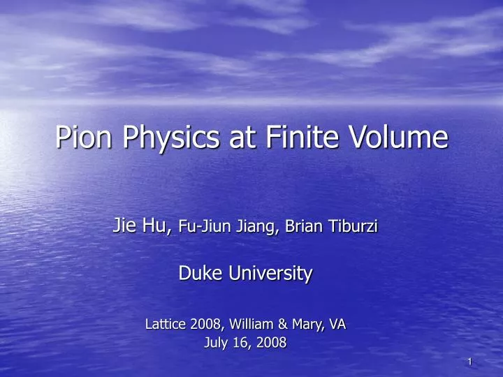 pion physics at finite volume