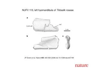 JP Downs et al. Nature 455 , 925-929 (2008) doi:10.1038/nature07189