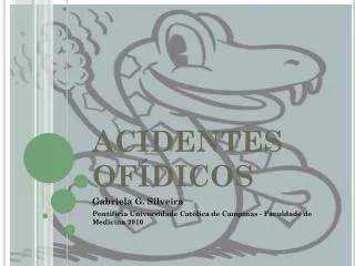 acidentes of dicos