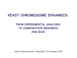 yeast chromosome dynamics from experimental analyses to comparative genomics and back