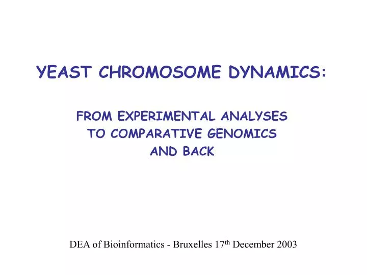 yeast chromosome dynamics from experimental analyses to comparative genomics and back