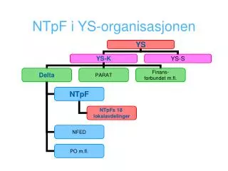 ntpf i ys organisasjonen