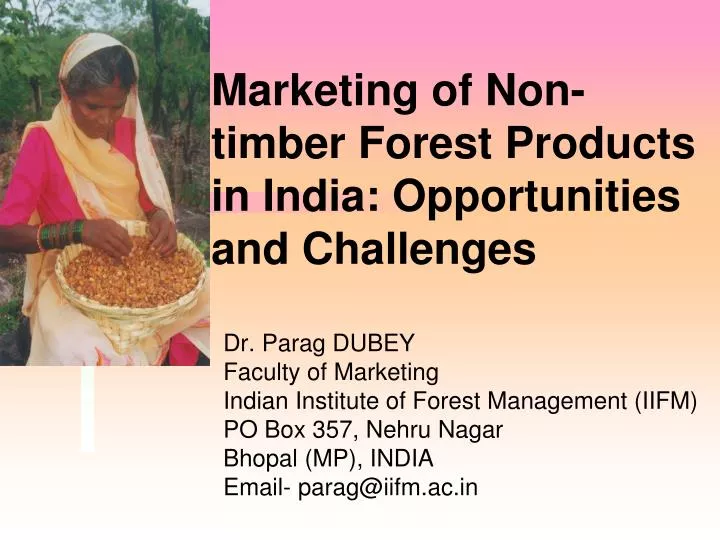 marketing of non timber forest products in india opportunities and challenges