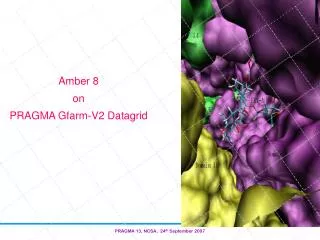 Amber 8 on PRAGMA Gfarm-V2 Datagrid