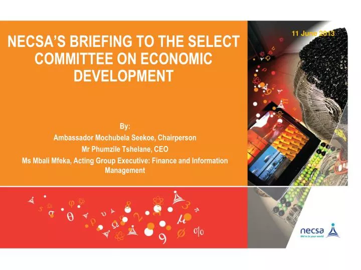 necsa s briefing to the select committee on economic development
