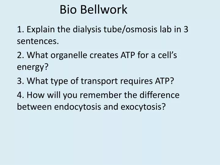 bio bellwork